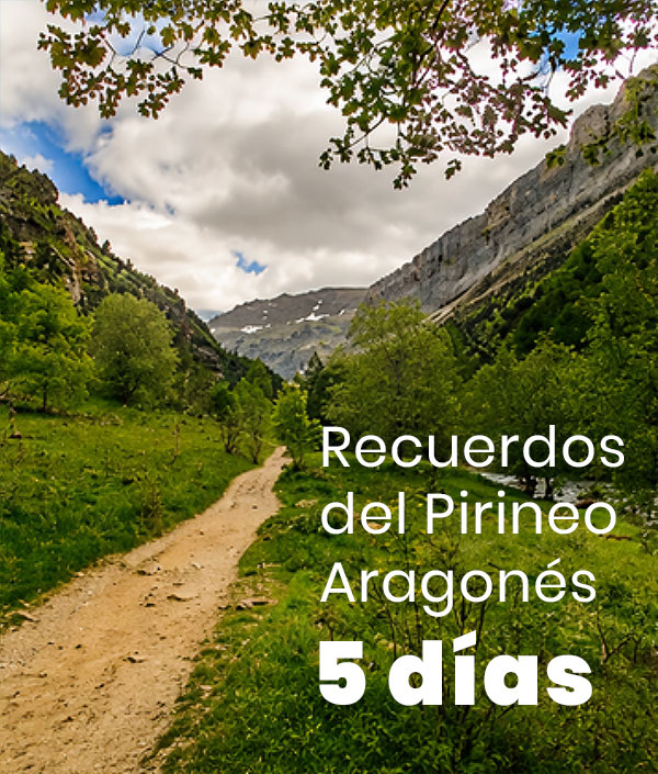 Folleto grupos 5 días